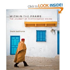 Within the Frame: The Journey of Photographic Vision (Paperback)