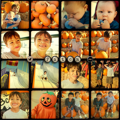 PumpkinPatch2